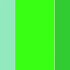 Paleta de colores con tonos verdes vibrantes y un toque de beige, creando colores que contrastan con el verde.