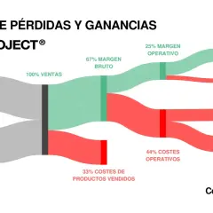 Gráfico de cuenta de pérdidas y ganancias de Nude Project, mostrando desgloses de ventas y costes.