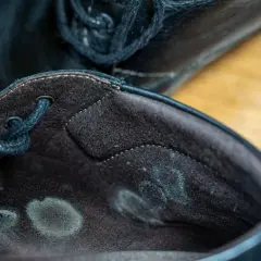 Manchas de moho verde y gris en el interior de un zapato negro. Esto explica porque sale moho en los zapatos: humedad y falta de ventilación.