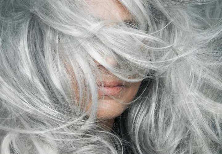 Cabello plateado y sedoso, un estilo natural para cubrir canas sin tinte.