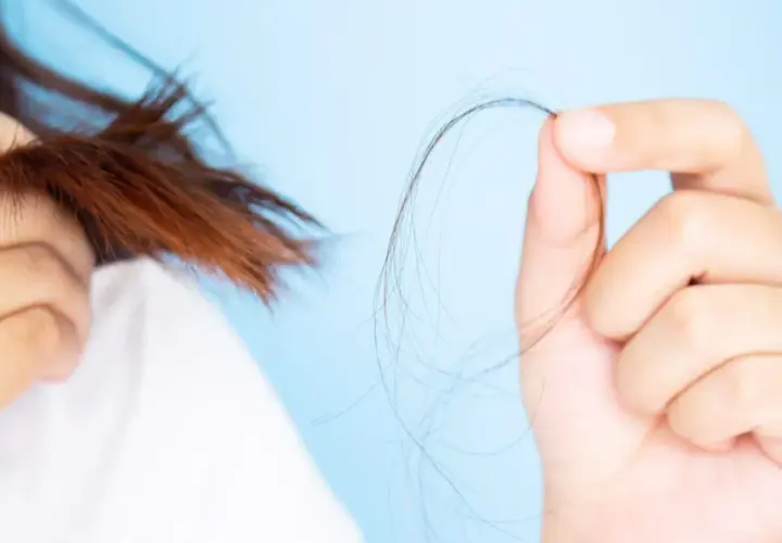 Mano sujetando mechón de pelo, mostrando preocupación por la caída. ¿En qué época del año se cae más el pelo?