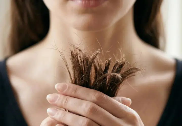 Mano sosteniendo mechón de pelo seco y rebelde. Descubre cómo quitar el frizz del pelo para un acabado suave y sedoso.