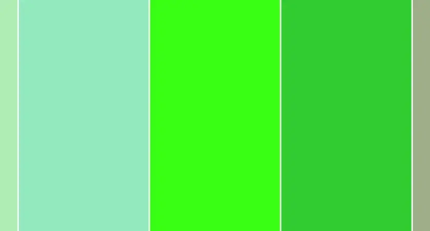 Paleta de colores con tonos verdes vibrantes y un toque de beige, creando colores que contrastan con el verde.