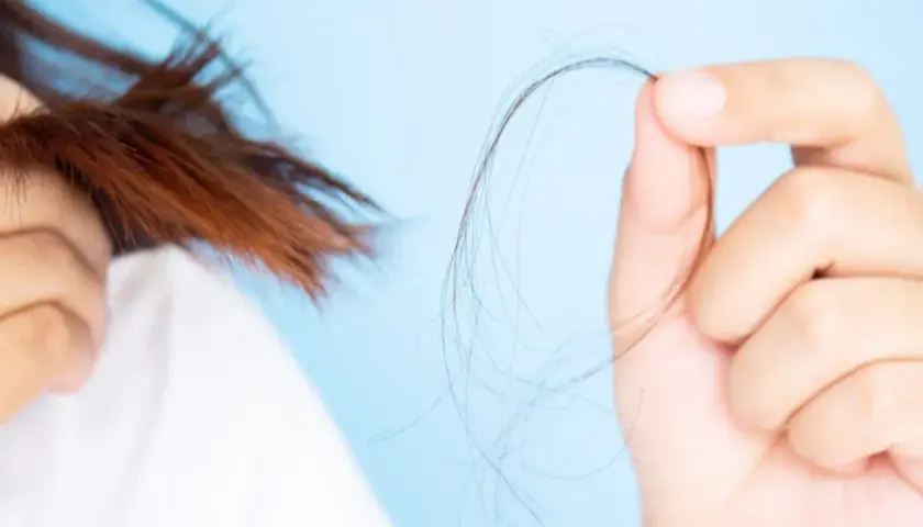 Mano sujetando mechón de pelo, mostrando preocupación por la caída. ¿En qué época del año se cae más el pelo?