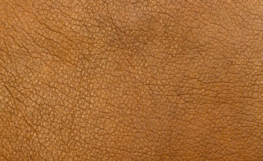 Leather Working Group - ¿Qué significa y cómo elegir mejor el cuero?