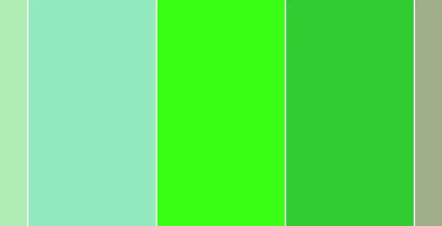 Colores que contrastan con el verde - Guía para no fallar al combinar