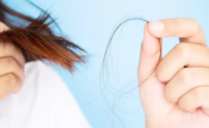 Caída de cabello en otoño - ¿Normal o problema? Descúbrelo aquí