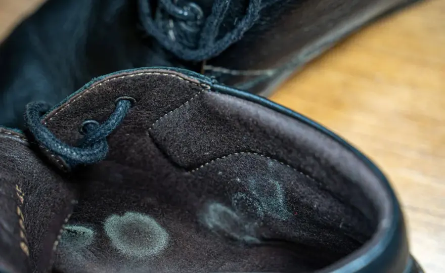 Moho en zapatos - Elimínalo y evita que vuelva