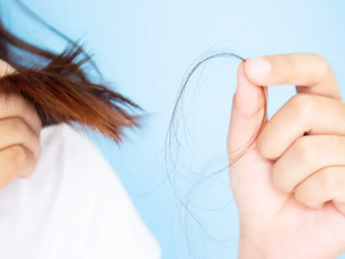 Mano sujetando mechón de pelo, mostrando preocupación por la caída. ¿En qué época del año se cae más el pelo?
