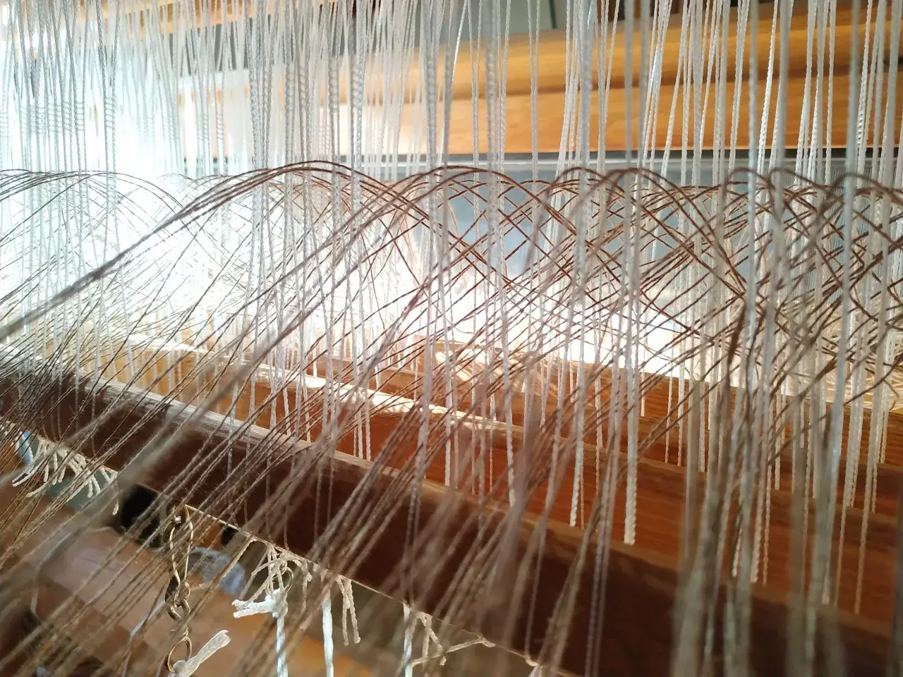 Hilos de lino en un telar, listos para tejer. El lino es una fibra natural versátil.