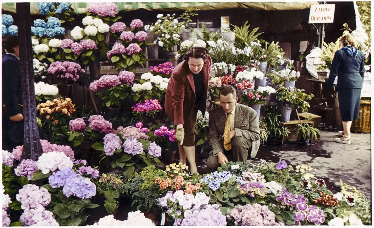 Una mujer, quizás Catherine Dior, elige flores en un puesto. Un hombre se agacha a su lado.
