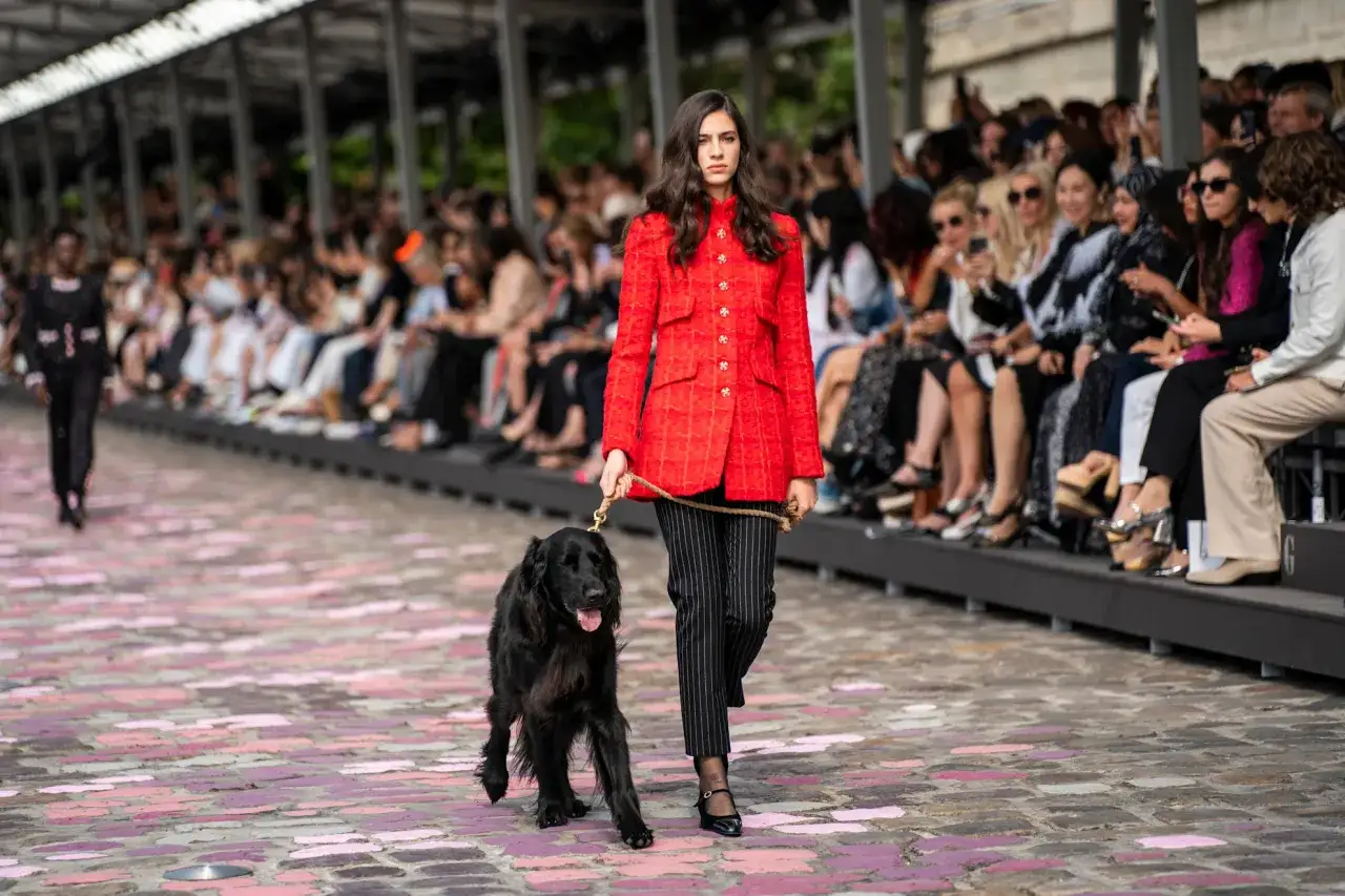 Una modelo pasea un perro negro por la pasarela, luciendo un traje rojo y pantalones a rayas. La loli bahía de la moda se siente en el ambiente.